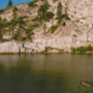 Meet your Posher, Alya